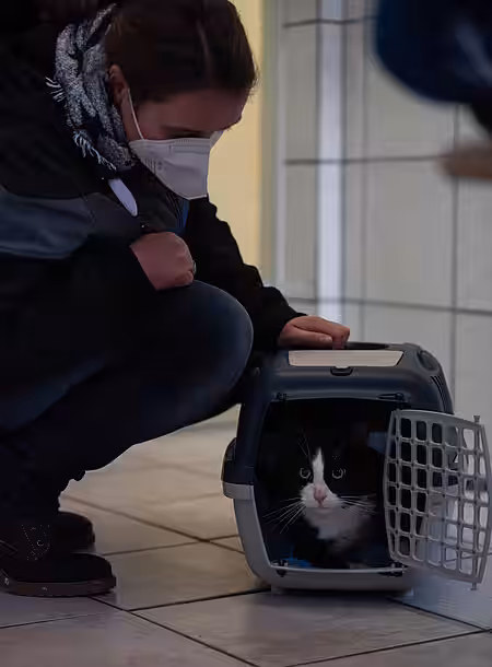 Felix sitzt noch in der Box