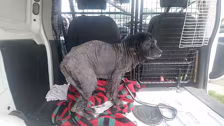 Louise hat kaum mehr Fell 