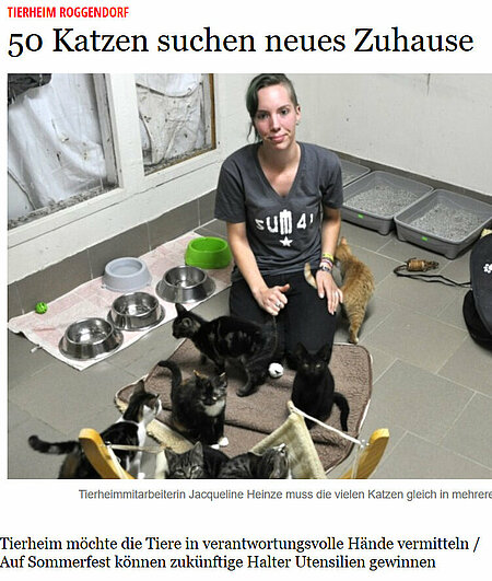 29. August 2017 – Gadebuscher-Rehnaer-Zeitung | "50 Katzen suchen Zuhause" 