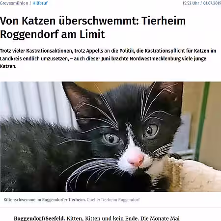 01. Juli 2019 | Ostsee Zeitung | "Von Katzen überschwemmt: Tierheim Roggendorf am Limit"