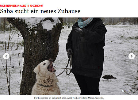 16. Dezember 2017 – Gadebuscher-Rehnaer-Zeitung | "Saba sucht ein Zuhause"