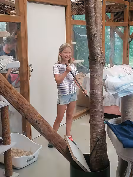 Ferienkind im Katzenhaus des Tierheims