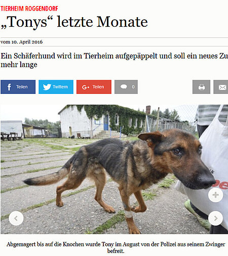 04. Oktober 2016 | Gadebuscher-Rehnaer-Zeitung | "Tonys letzte Monate" 