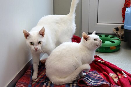 Mausi & Püppi